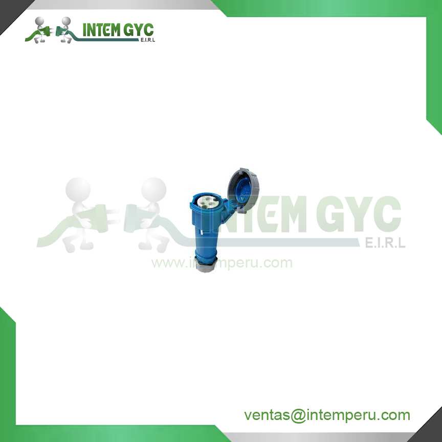 TOMA AEREO 16A 2P+T 200 A 250A